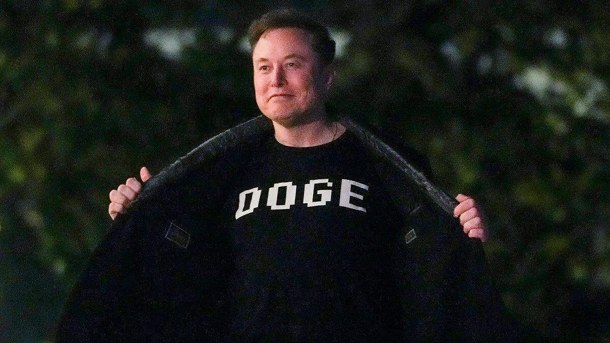 Musk (2)